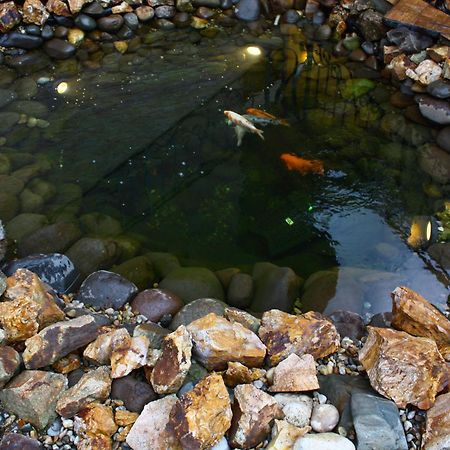 Pension La Fontana Μπάια Μάρε Εξωτερικό φωτογραφία